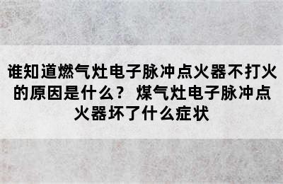 谁知道燃气灶电子脉冲点火器不打火的原因是什么？ 煤气灶电子脉冲点火器坏了什么症状